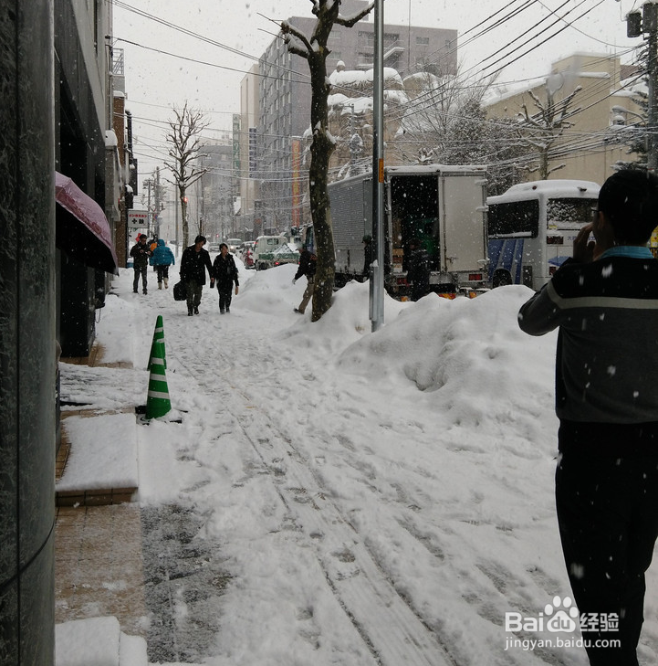 一条性价比爆棚的万元以下日本北海道观雪路线