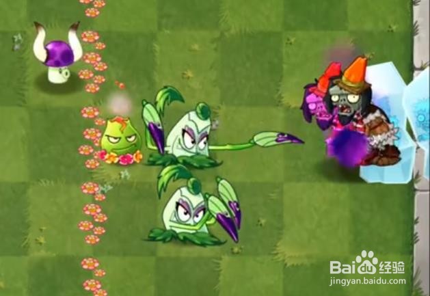 植物大战僵尸尖刺秋葵怎么得