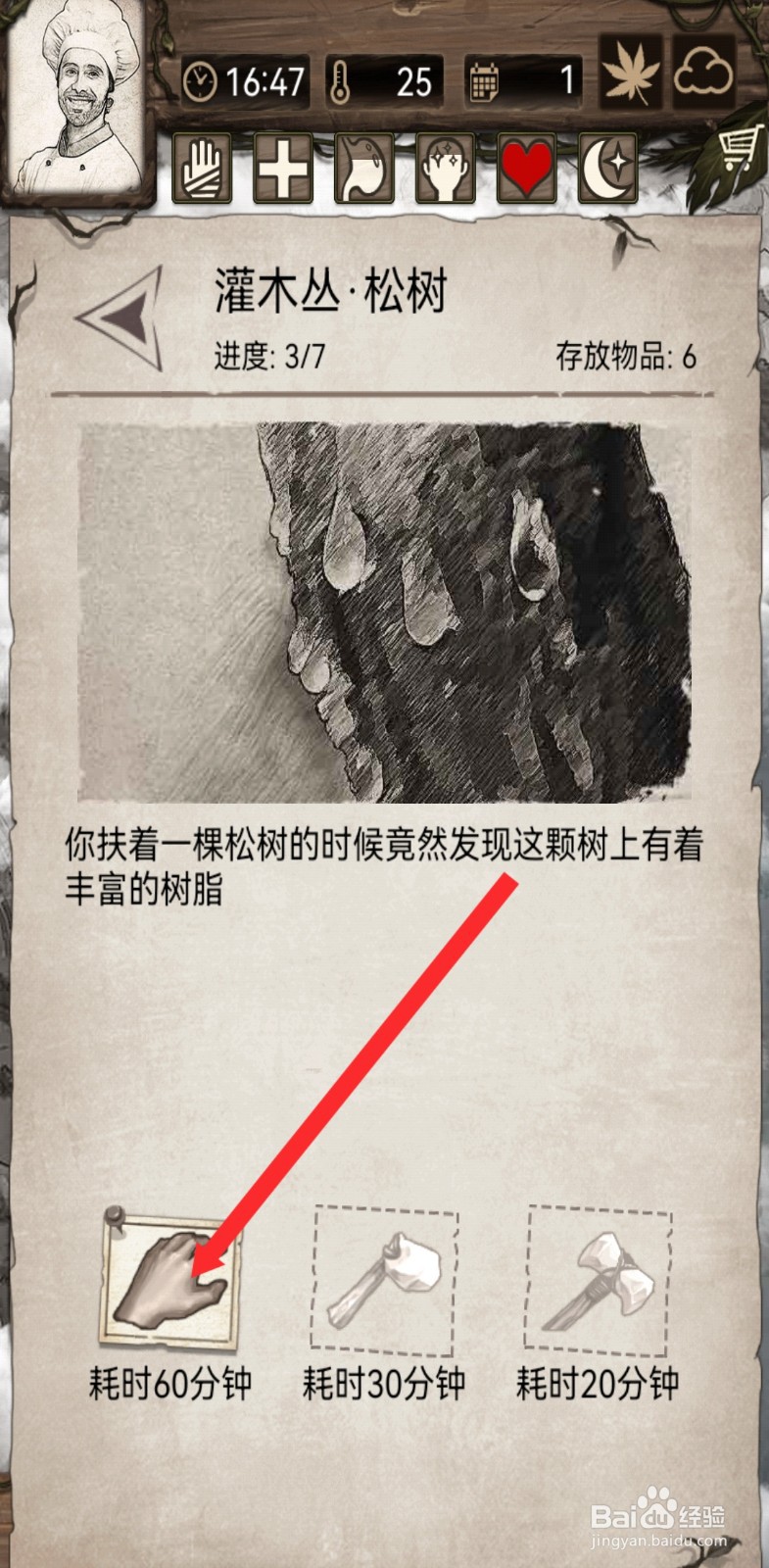 荒野日记孤岛如何拾取探索灌木丛松树的物品