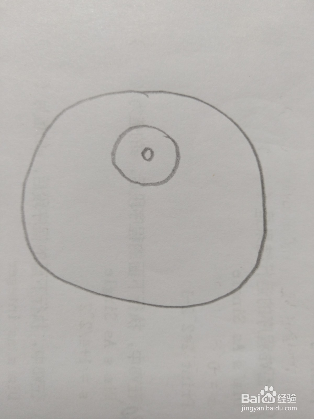 简笔画柿子画法2