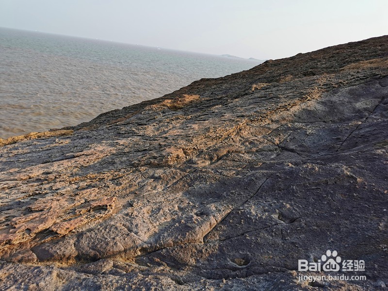 温州洞头鹿西岛旅行