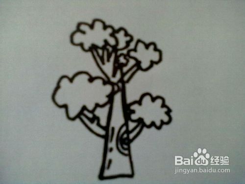 大树简笔画怎么画