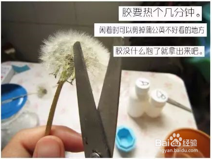 自己动手DIY一个蒲公英透明树脂，好漂亮！