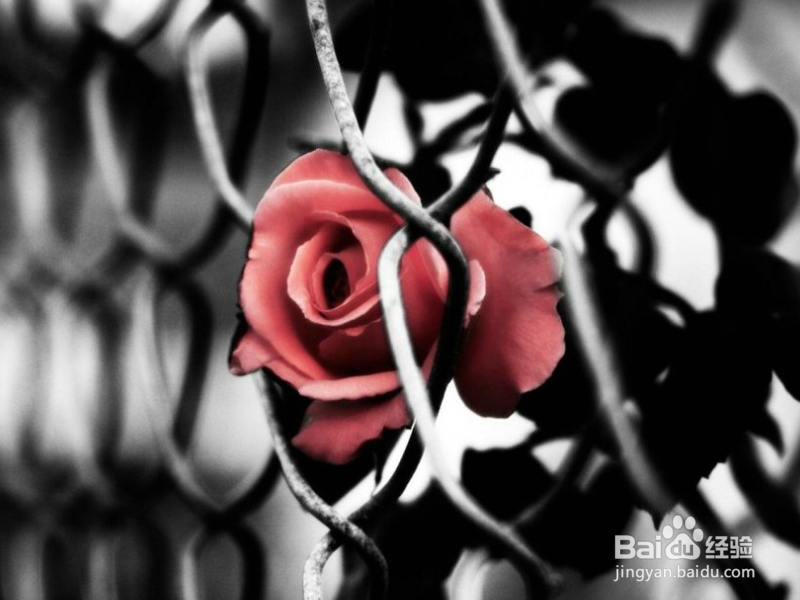 如何判断男朋友是否对自己说慌