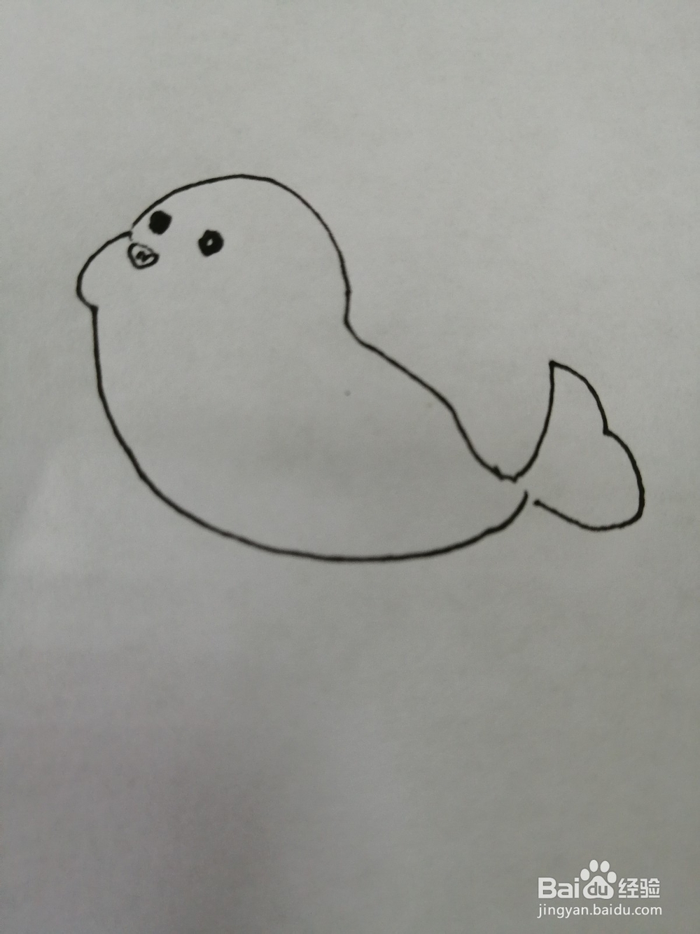可爱的小海豹怎么画