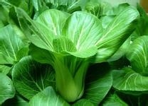 吃什么可以美白