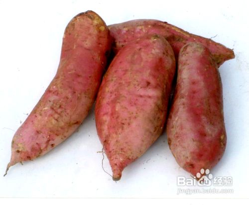 冬天保养肠胃的食物有哪些