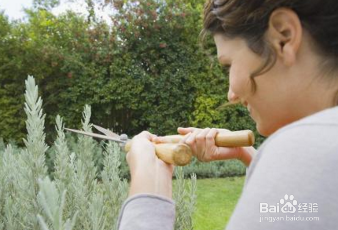 怎样表现才能获得喜欢的女孩的青睐和好感