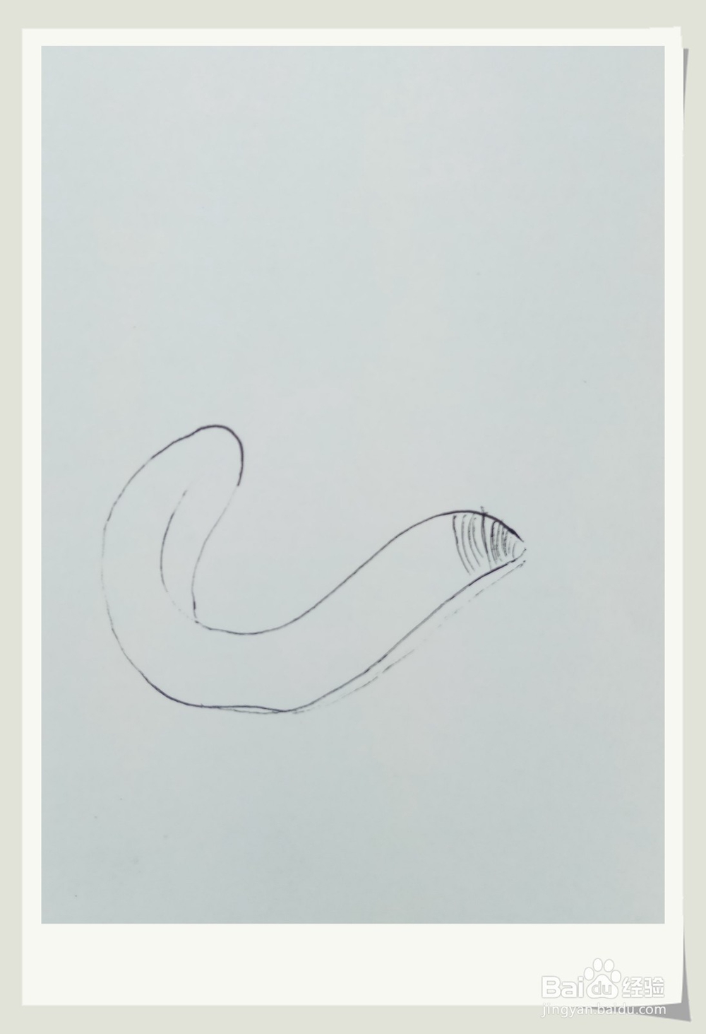 怎样画简笔画“水蛭”?