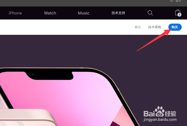 iphone13是否取消256g机型
