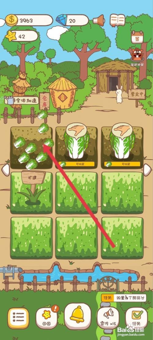 口袋菜地使用采摘大白菜怎么做