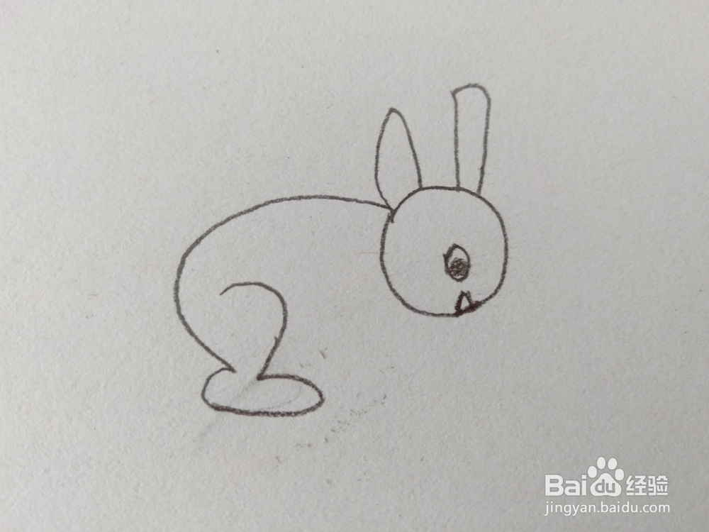简笔画如何画一个可爱的小兔?