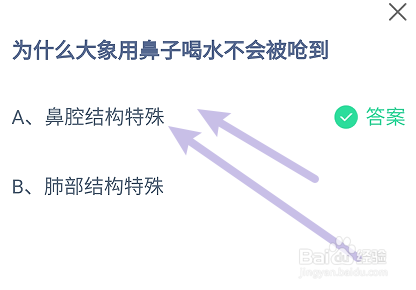 蚂蚁小课堂6.13为什么大象用鼻子喝水不会被呛到