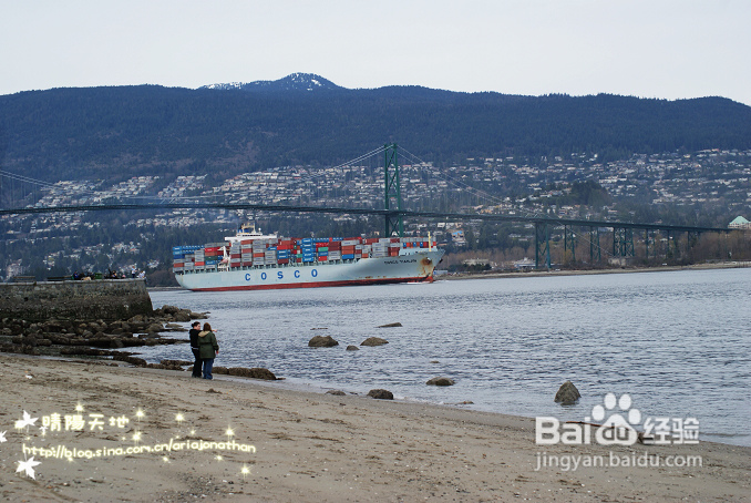 拾海的孩子&亲亲小动物(组图)