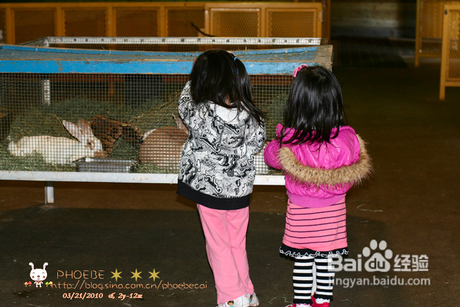 拾海的孩子&亲亲小动物(组图)