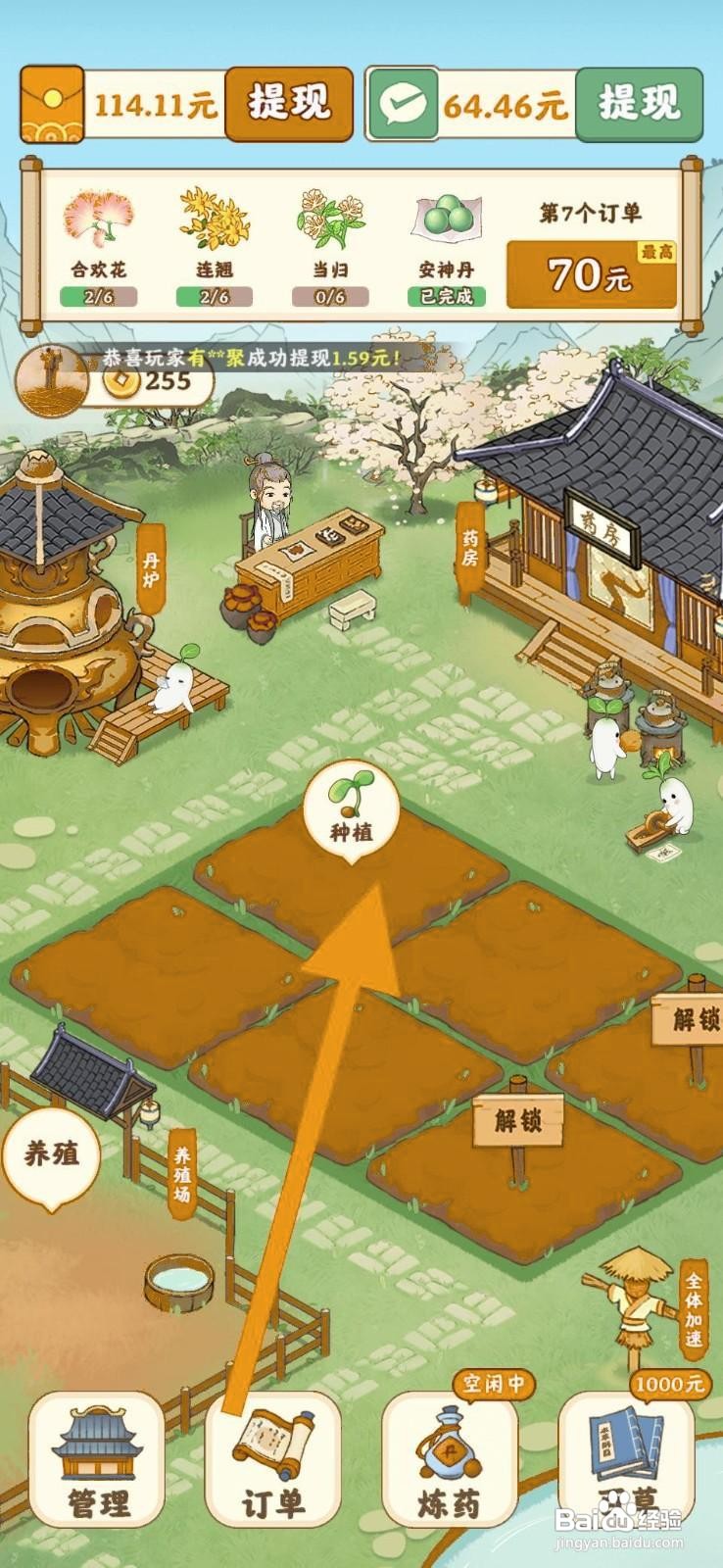 杏林世家如何成功种植合欢花