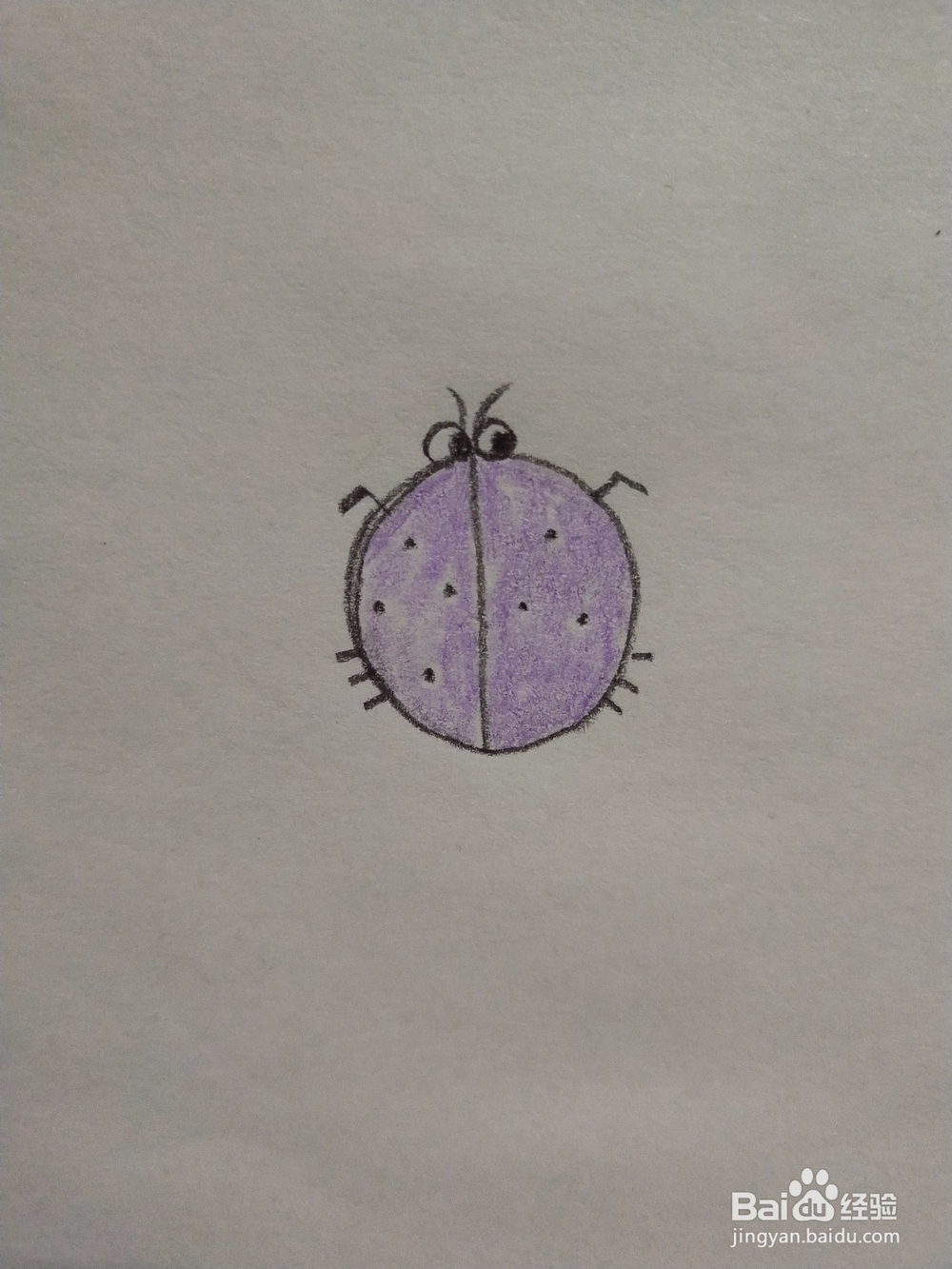 瓢虫简笔画怎么画