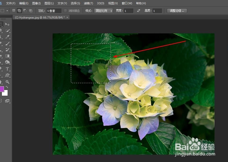 PS‘矩形选框工具’和‘编辑->填充操作’