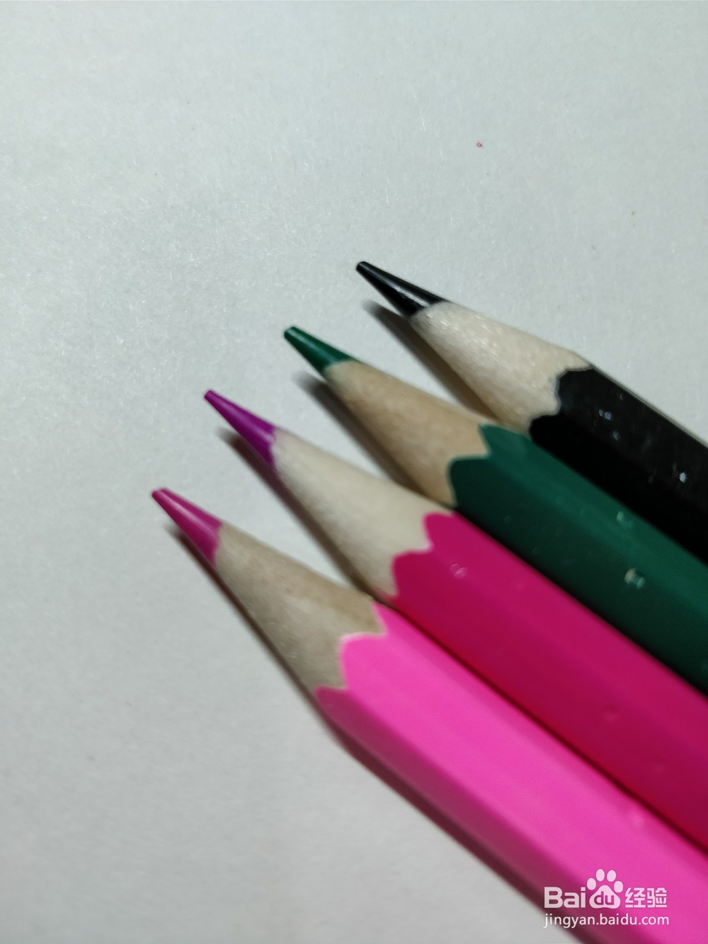 简笔画画卡通牵牛花