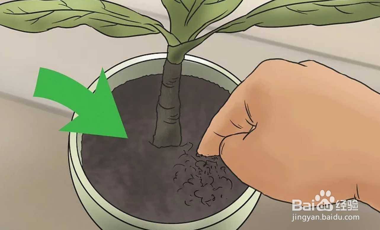 如何在房间里藏东西