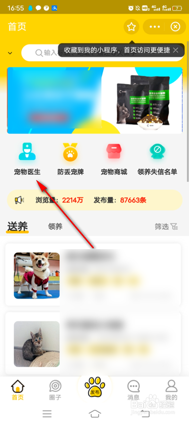 支付宝怎么查看宠物常见问题