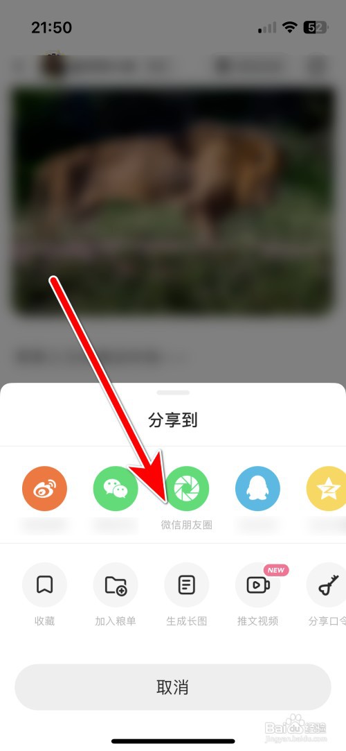 LOFTER如何分享文章到微信朋友圈