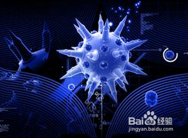 引发子宫腺肌症的原因