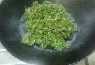 又感冒了，怎么办