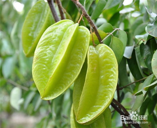 经常加班熬夜的人,平常应该多吃这7种食物!