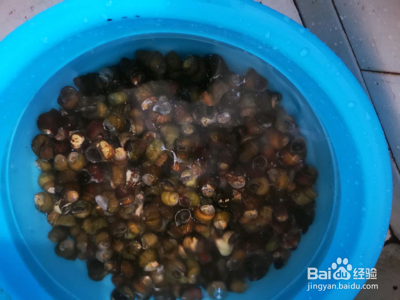 家常鸭脚煲的做法