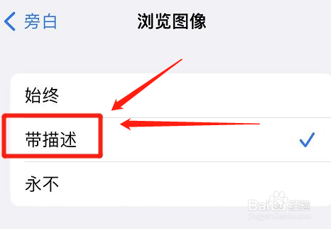 iphone旁白怎么带描述浏览图像