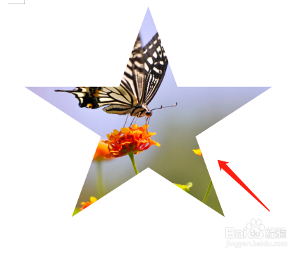 Word中怎样将图片裁剪成五角星形状