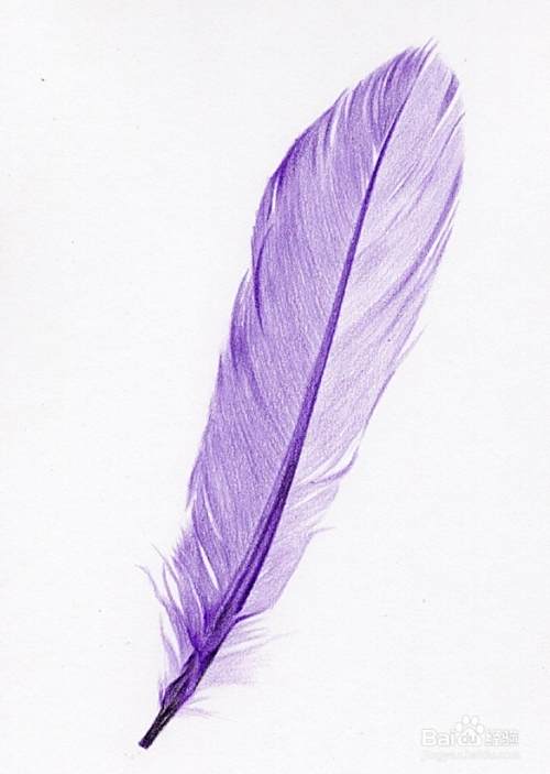羽毛彩铅简笔画教程