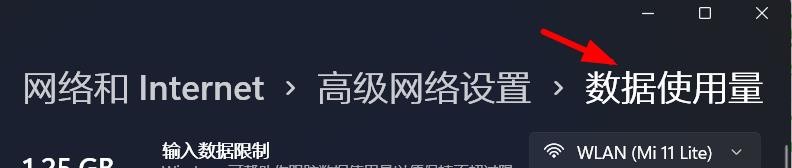 Windows11如何查看数据使用量的详细信息