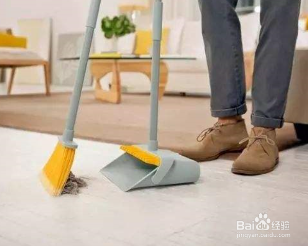 如何预防猫咪得猫藓