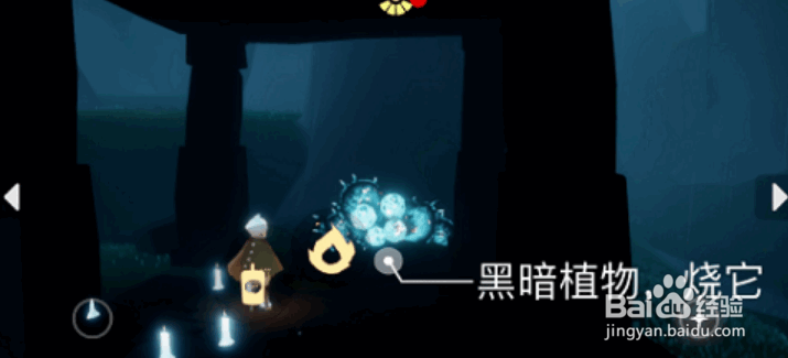 《光遇》5月13日任务怎么做