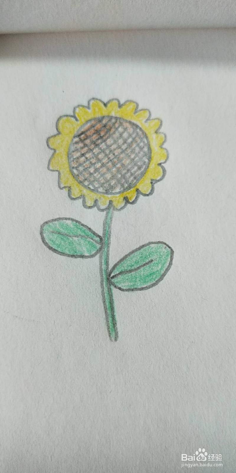 向日葵简笔画