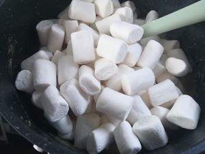 咸蛋肉松方块酥