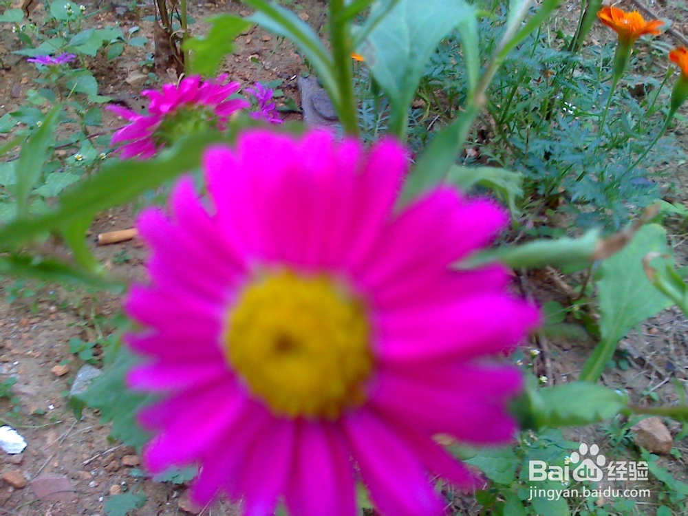 孩子怎样来控制自己珍惜时间