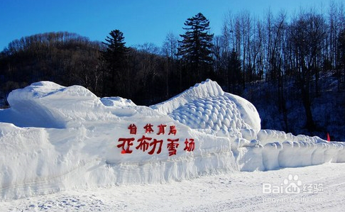 哈尔滨市的旅游攻略