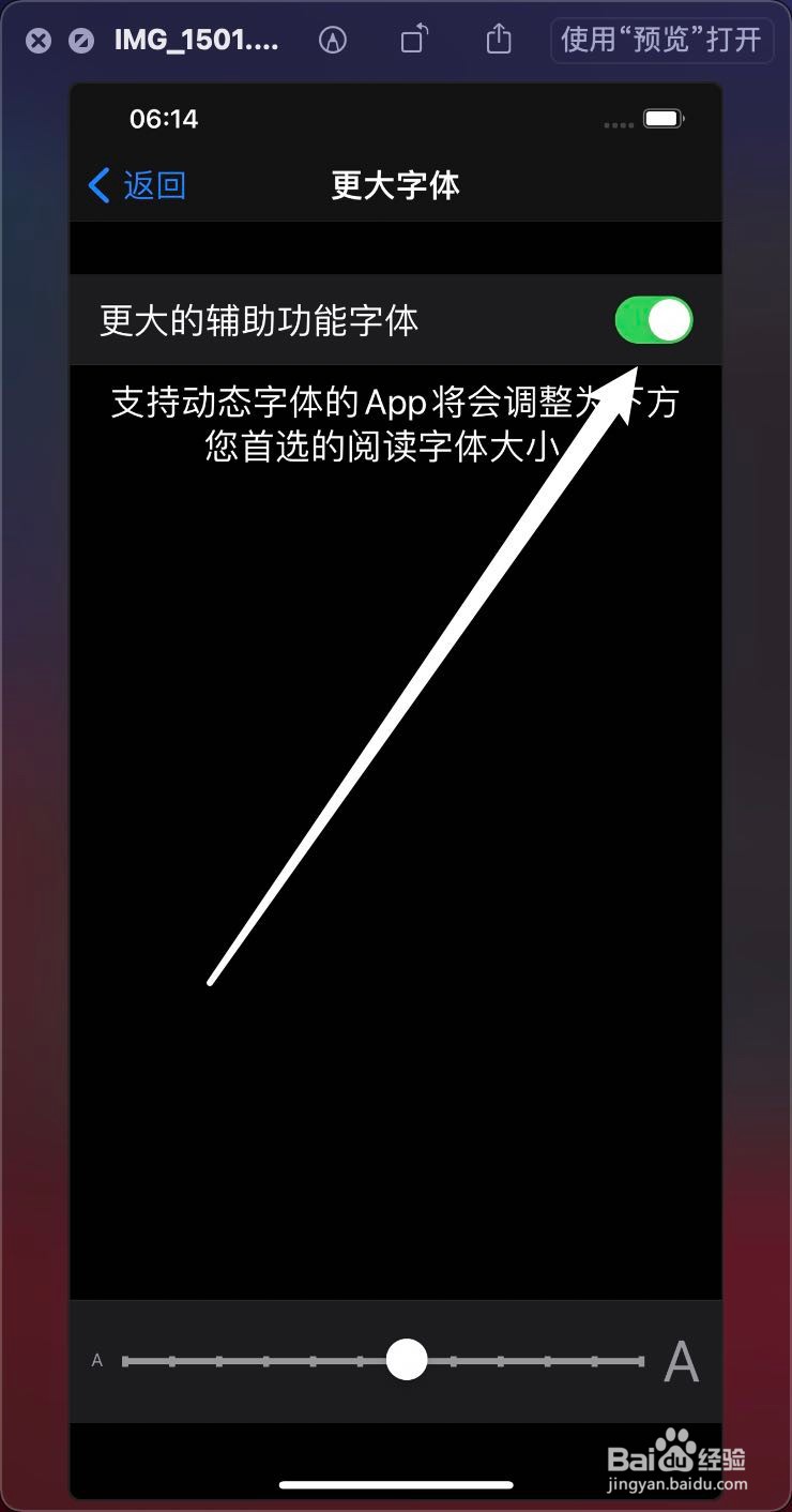 iPhone 12 粗体文本怎么样打开