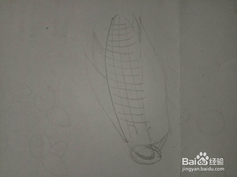 简笔画玉米棒的画法