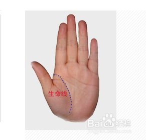 教你看手纹识手相 百度经验 教你看手纹识手相 百度经验