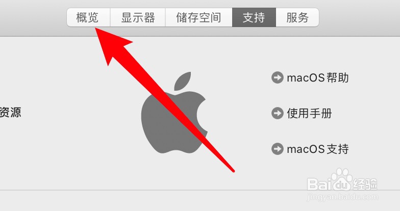 mac电脑怎么查看内存大小