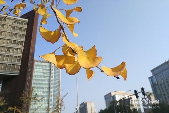 小米史上最酷的手机 小米MIX概念机评测