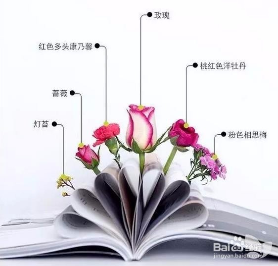 母亲节鲜花 母亲节插花教学 花点心思吧