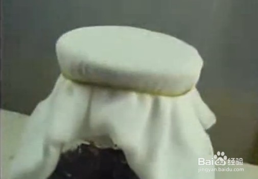 自制养生酒之---如何自制葡萄酒？