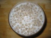 教你做椰汁西米露