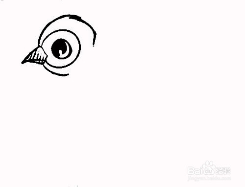 燕子的简笔画