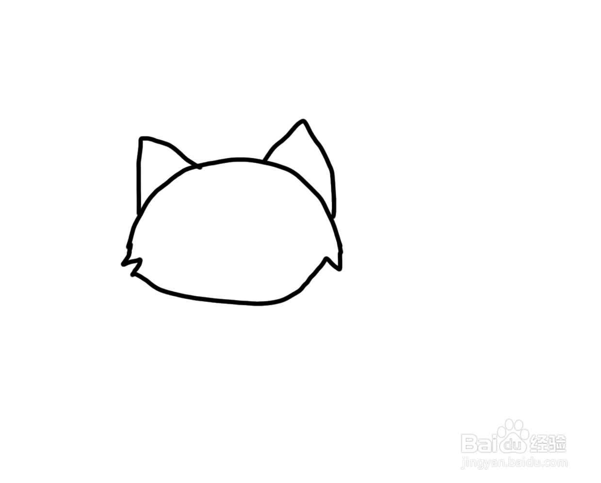 儿童简笔画入门怎么快速学绘画动物浣熊